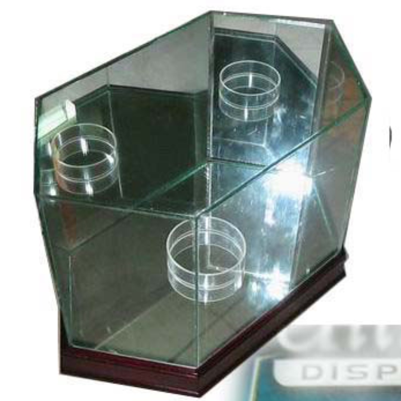 Octagon Voetbalglas Vitrine